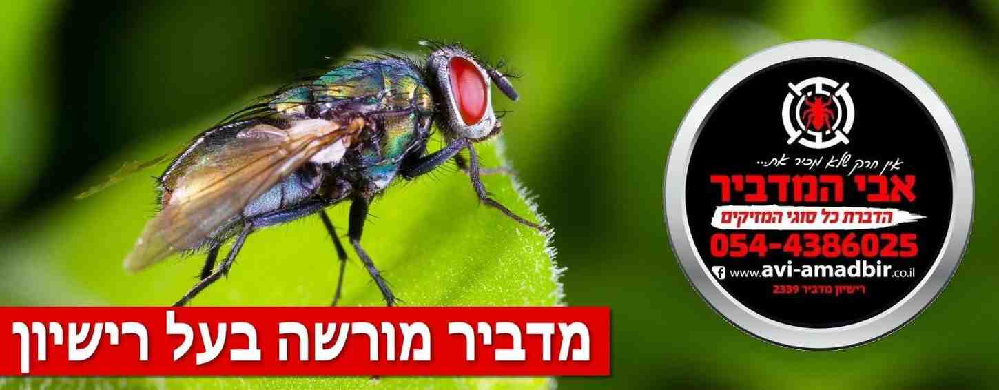 pest-center-002-1 pest-center-002-