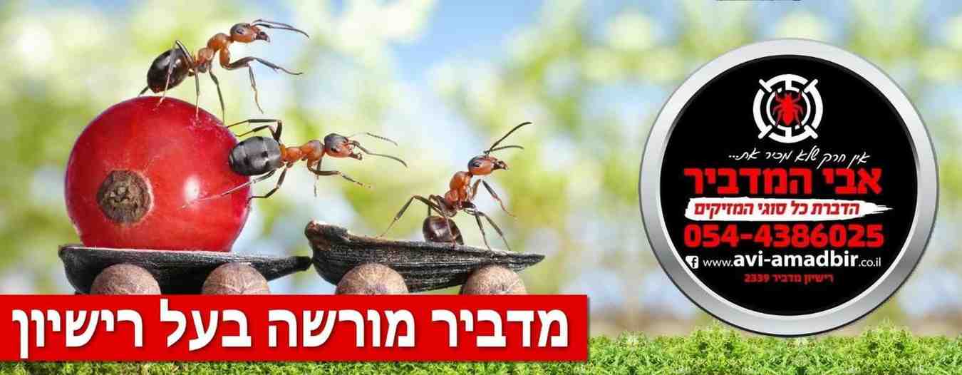 pest-center-003-1 pest-center-003-1